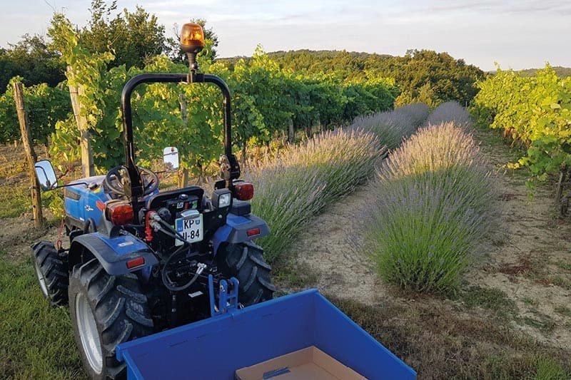 Solis 26 Kleintraktor mit Allrad & Servolenkung – 26 PS Mitsubishi Dieseltraktor
